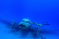   Shot taken during training Russian Freediving superstar Alexey Molchanov Plane wreck Kaş plain Kaş.  